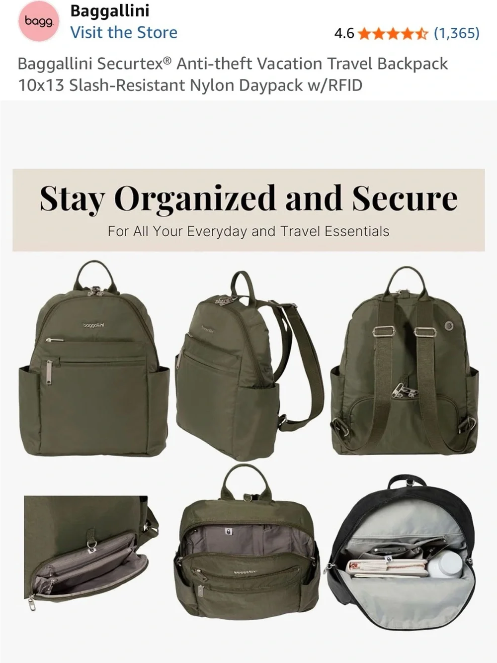 NWT Baggallini Securtex® Anti-theft Vacation Travel Backpack